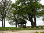 Kroezeboom met Landkruis Heilig Hartkapel